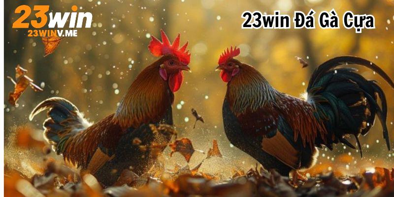 Tận hưởng cảm giác đặt cược đỉnh cao với 23win đá gà cựa