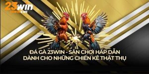 Đá gà 23win - Diễn đàn chọi kê cực chất hàng đầu, không thể bỏ qua!