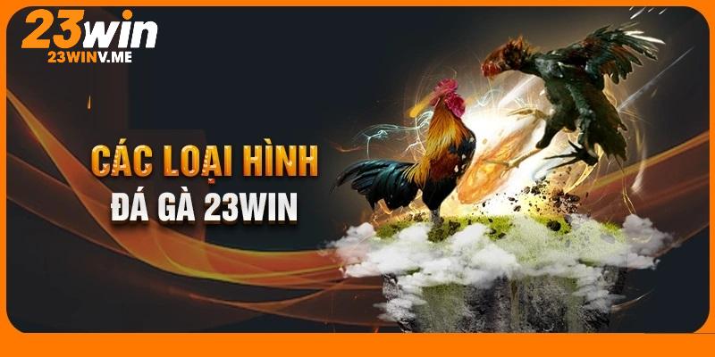 3 hình thức chọi gà cụ thể có tại 23win