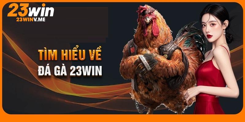 Tìm hiểu về đá gà 23win