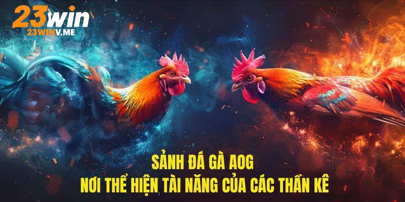 AOG phát sóng các trận đấu kịch tính nhất