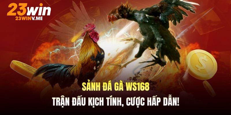 Ws168 phát sóng các trận đấu kịch tính