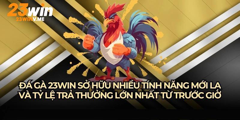 Loạt ưu điểm giúp nhà cái 23win thu hút nhiều kê thủ