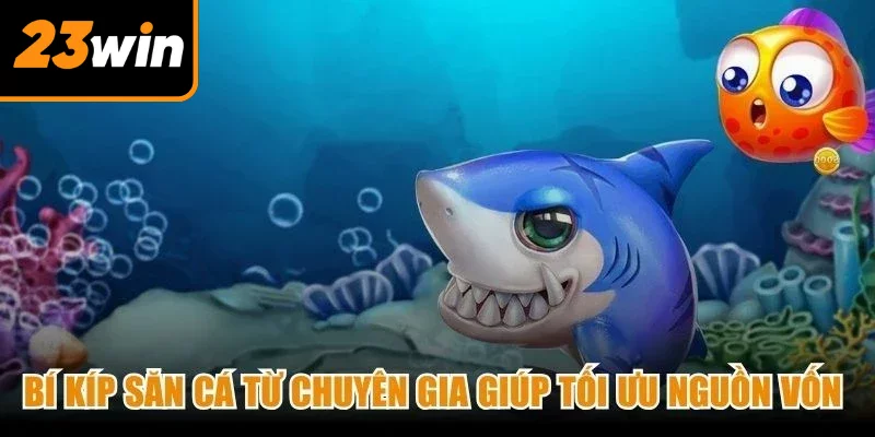 Bí kíp săn cá từ chuyên gia giúp tối ưu nguồn vốn cho các ngư thủ